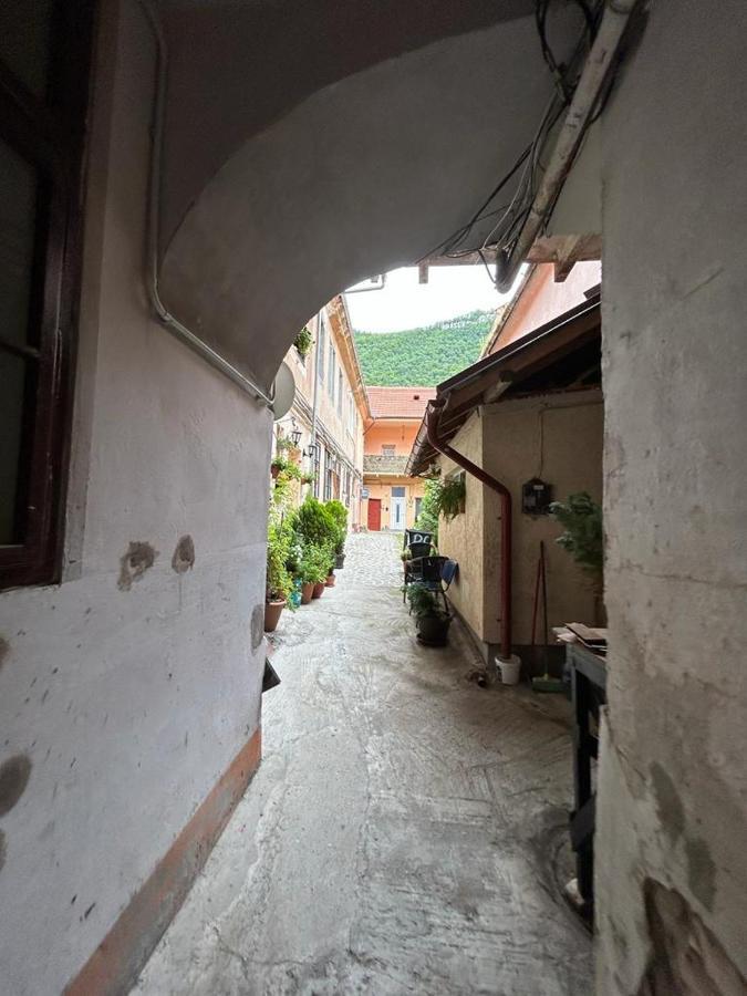 Guest House Rusu Braşov Exterior foto